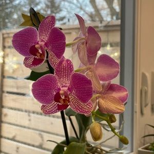 Meet your Posher, Jill